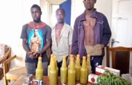 35 Suspects Arrested With Bottles of 'Wee' Bitters and 60 Wraps of Marijuana