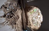 Thieves Dig Tunnels to Break into 3 Shops