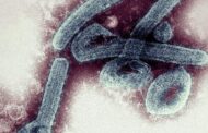 Guinea's Marburg Outbreak Declared Over