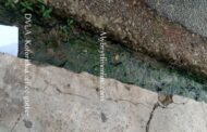 Koforidua: Gutter at DVLA Office Choked With Filth Formed By Green Algae