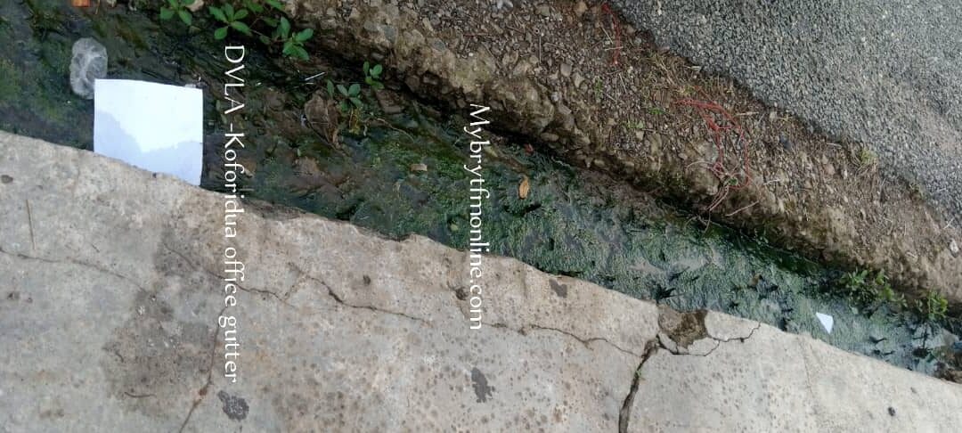 Koforidua: Gutter at DVLA Office Choked With Filth Formed By Green Algae