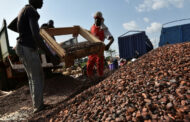 Cocoa Processing Company to Construct Biomass