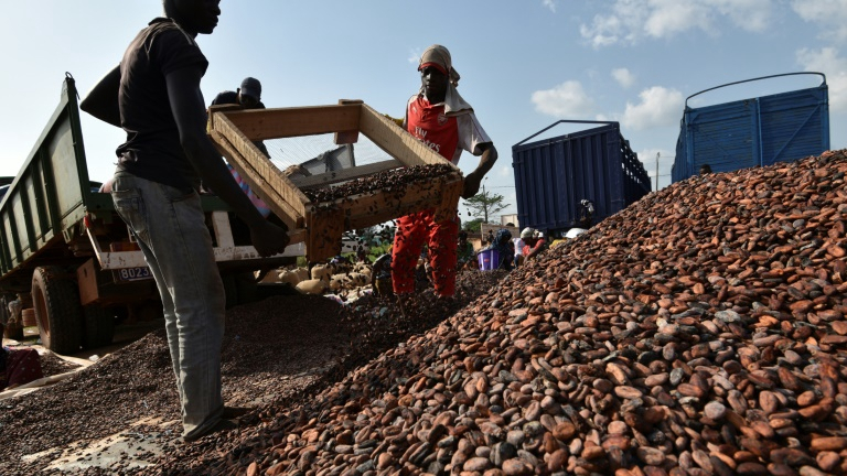 Cocoa Processing Company to Construct Biomass