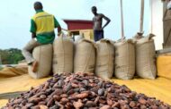 2020/2021 Cocoa Season Closed
