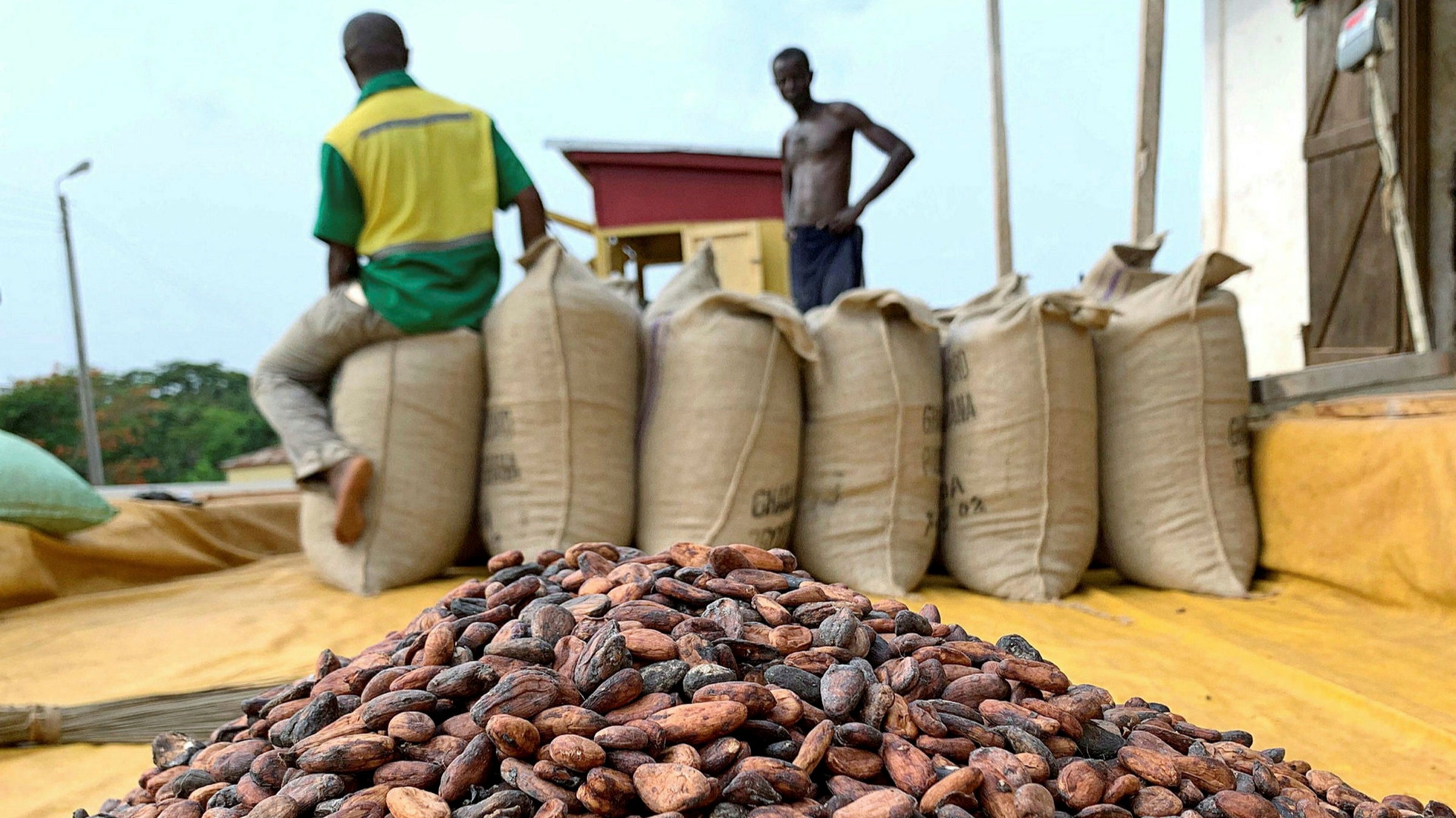 2020/2021 Cocoa Season Closed