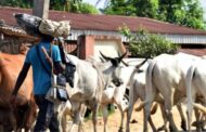 E/R: Fulani Herdsman Killed By His Master After Rustlers Stole 7 Cows