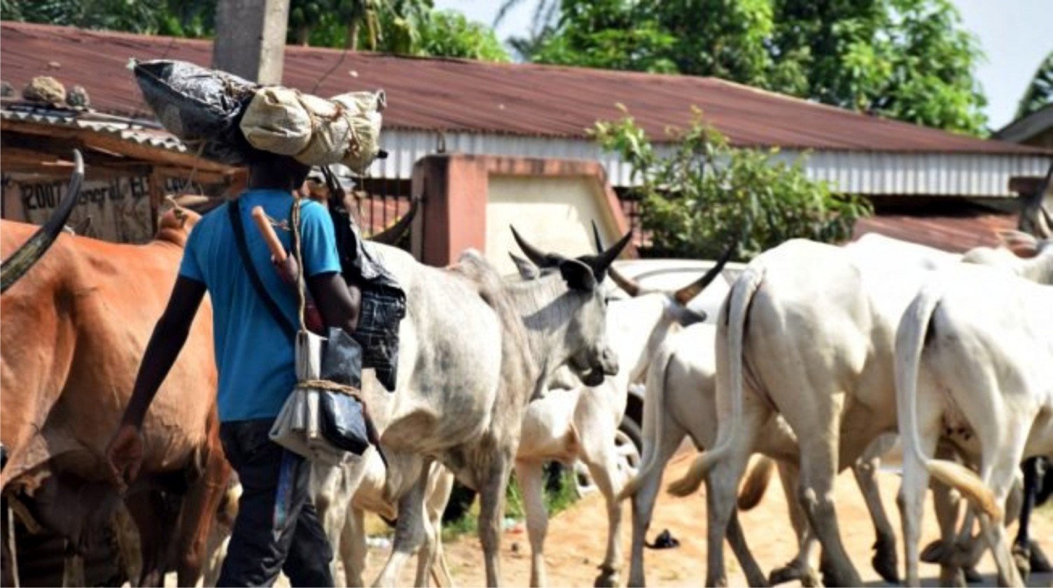 E/R: Fulani Herdsman Killed By His Master After Rustlers Stole 7 Cows