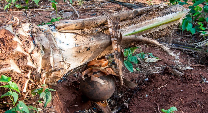 Palm Wine Tapper Sentenced to 60 Days Imprisonment for Possession Firearms