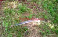 Ghana Bachelors Association (GBA) Condemns Increasing Spousal Killings
