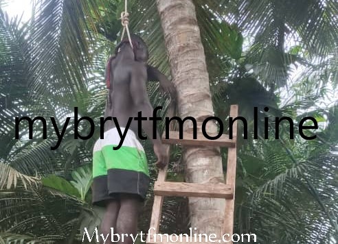 E/R: Man, 25, Commits Suicide on 15ft Coconut Tree