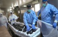 Bodies Pile Up Outside Hospital Morgue As Romania Struggles With Fourth Wave Of Covid