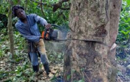 Ghana Must Protect Its Natural Wealth From Greedy People - Francis Manu
