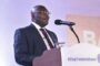 I Am Excited About the Prospects of the Nation - Bawumia