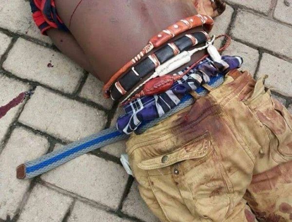 Afram Plains South: NPP Defends Suspected Armed Robber Killed By Police