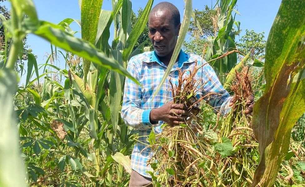 The Man whose Children May Never Return to School