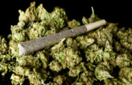 Porter Fine GH¢120k for Possession of Narcotic Plant