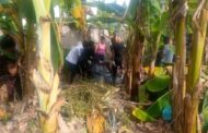 A/R: 26-Year Old Caged For Killing Girlfriend