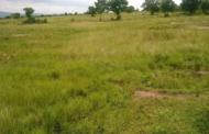 Develop Your Land Properties - NJMTA Advise Members