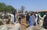 Fulani Communities in Ghana Cry over Indiscriminate Killings by Police under Pretext of Robbery