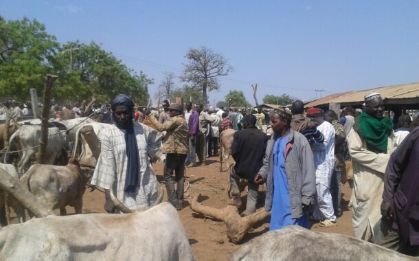 Fulani Communities in Ghana Cry over Indiscriminate Killings by Police under Pretext of Robbery