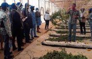 Israeli Agricultiva to Invest In Ghana's Agriculture Sector