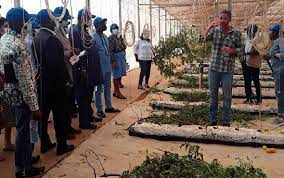 Israeli Agricultiva to Invest In Ghana's Agriculture Sector