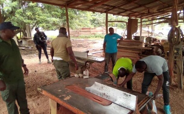 Gov't to Redeem the Sawmill Industry - Minister Assures