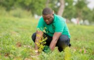 GREEN GHANA PROJECT: 20m Trees to Be Planted In 2022 - Minister