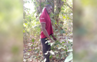 Man Found Hanging Dead In Cemetery With Body Parts Cut Off