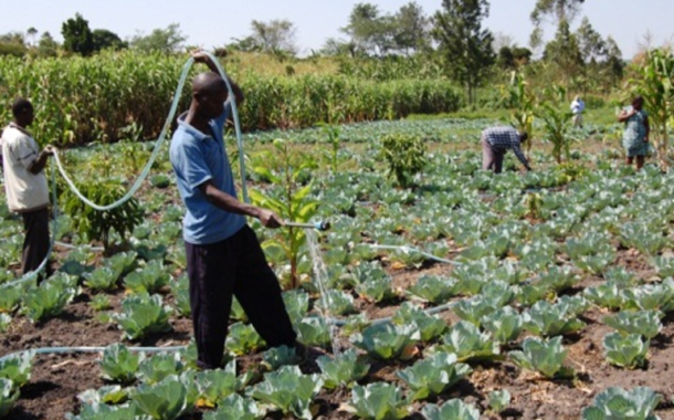 Okere: 13 Farming Communities To Be Connected To National Grid