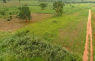 Kwamoso State Farms, Not Stool Land - Nkosuohene Reveals