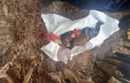 Girl, 13, Gruesomely Murdered By Unknown Assailants at Bibiani