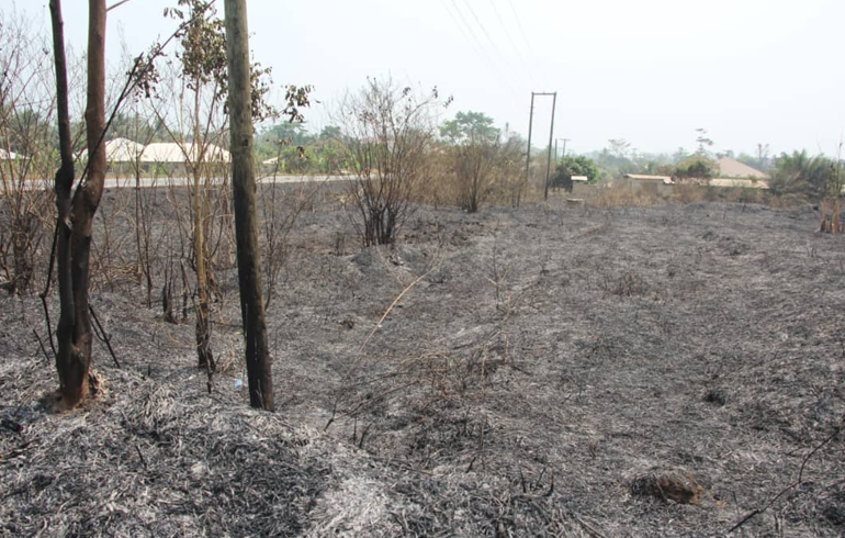 E/R Recording Alarming Incidents Of Bushfires