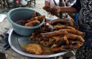 Nigeria Seizes Tonnes of Hides on Sale as Food