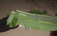 C/R: Vehicle Transporting Mourners Crashes, One Dead, Others Injured
