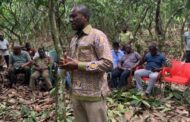 Shortage of Fertilizer Looms - COCOBOD CEO Tells Cocoa Farmers