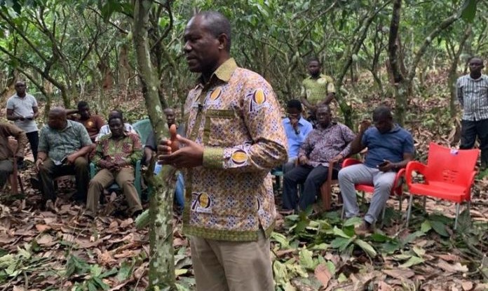 Shortage of Fertilizer Looms - COCOBOD CEO Tells Cocoa Farmers