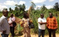 E/R: Market Women in Amanase Lament over Poor State of Market and Theft