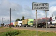 Traffickers Arrested Selling Severed Genitalia for $2m