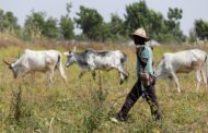 10 Fulani’s Killed Within 11 Days - Fulani Groups Claims
