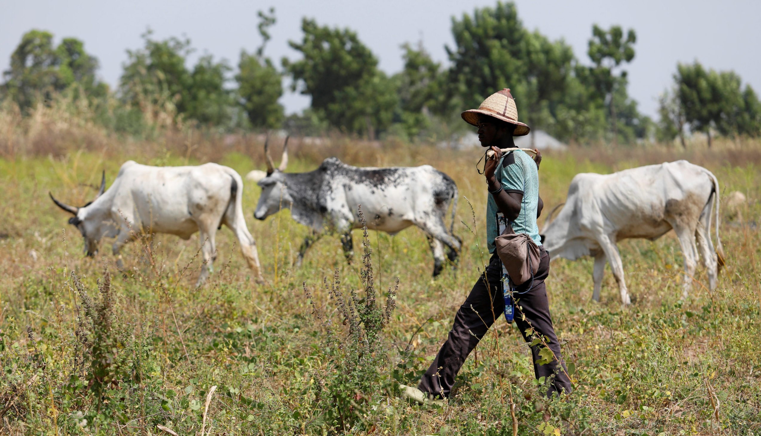 10 Fulani’s Killed Within 11 Days - Fulani Groups Claims