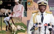 Police Assures To Relocate 2 Tigers From Accra Residence