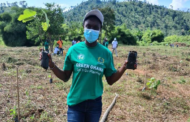 Let's Support The 'Green Ghana Project' To Succeed
