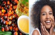 Why Is Palm Kernel Oil Important To The Body; Know The Facts