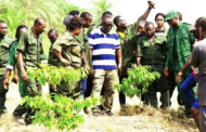 Western North: Over 5000 YEA Beneficiaries To Boycott Green Ghana Project Launch Over Unpaid Arrears