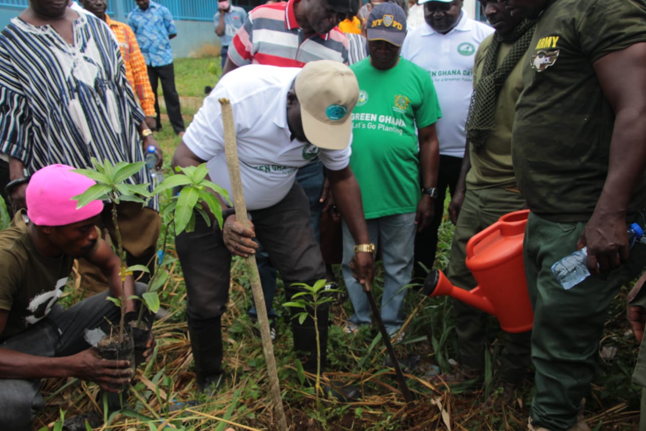 Fanteakwa North: Forestry Commission, Assembly, Chiefs And GES lead 400k Tree Planting