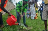 Greening Ghana: MP Urges Public To Support Survival Of Trees