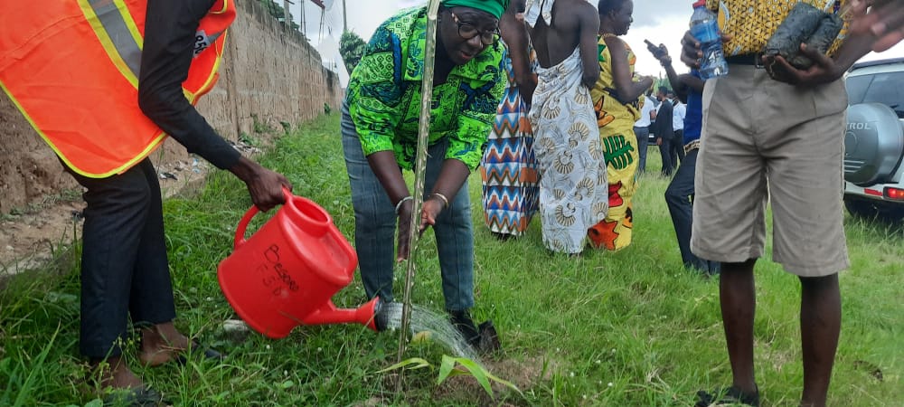 Greening Ghana: MP Urges Public To Support Survival Of Trees