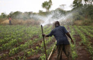 Western North: Irrigation System Will Help Sustain Planting For Food And Jobs - Former NDC MP