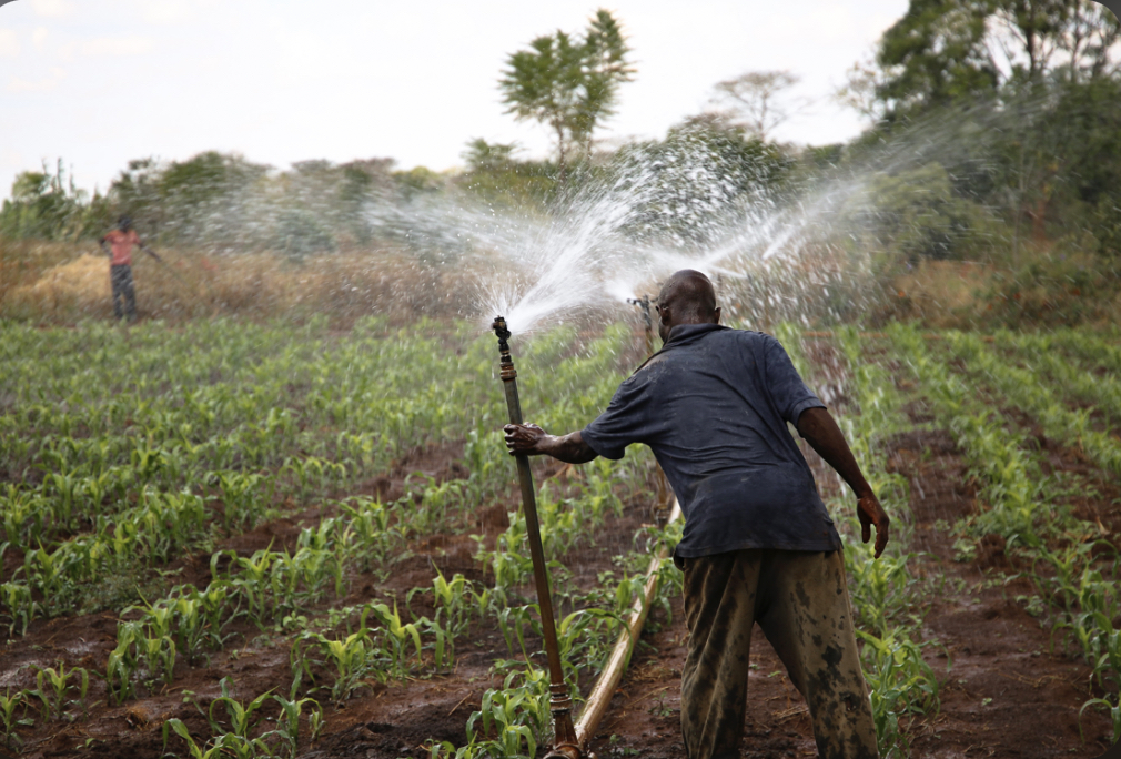 Western North: Irrigation System Will Help Sustain Planting For Food And Jobs - Former NDC MP